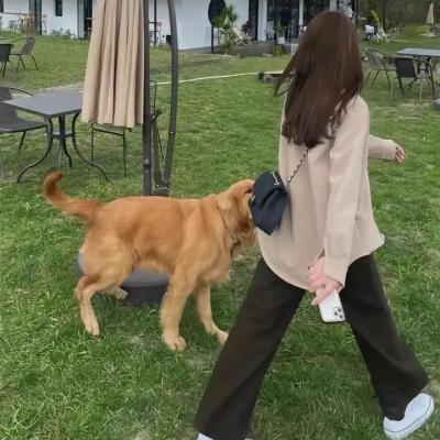 妹子与科学